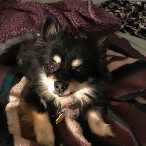 Meet your Posher, Linda